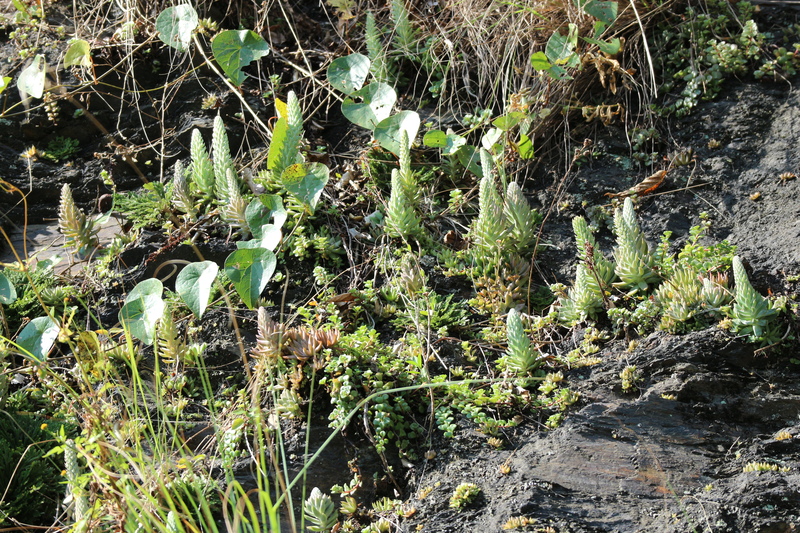 e0272335_9163696.jpg