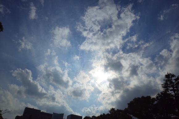 a0287336_01215832.jpg
