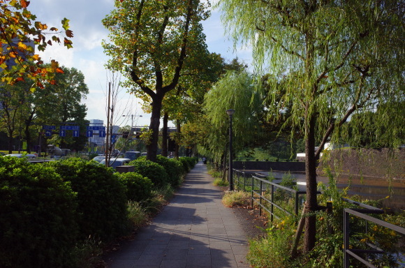 a0287336_01230091.jpg