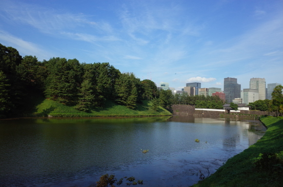 a0287336_01232666.jpg