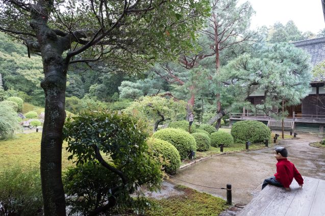 雨の青蓮院_e0369736_09291392.jpg