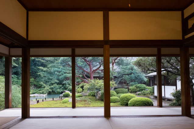 雨の青蓮院_e0369736_09291954.jpg