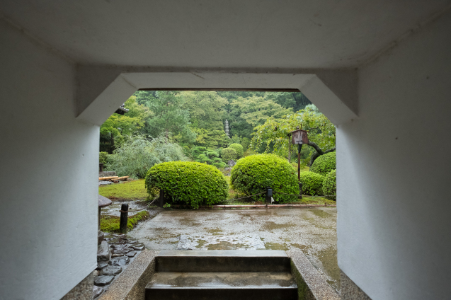 雨の青蓮院_e0369736_09301337.jpg