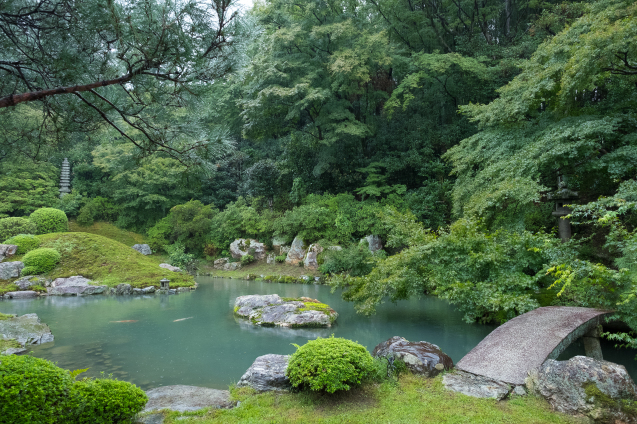 雨の青蓮院_e0369736_09301400.jpg