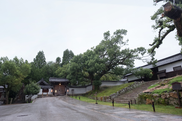 雨の青蓮院_e0369736_09321432.jpg