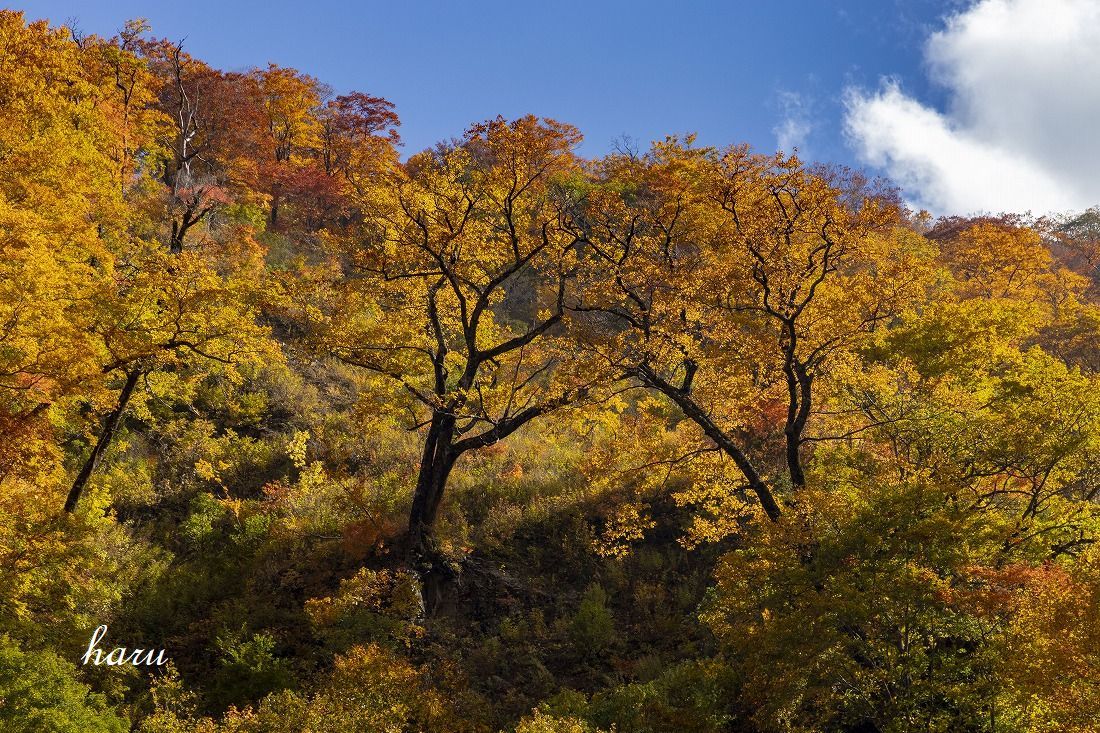 f0297537_21514577.jpg
