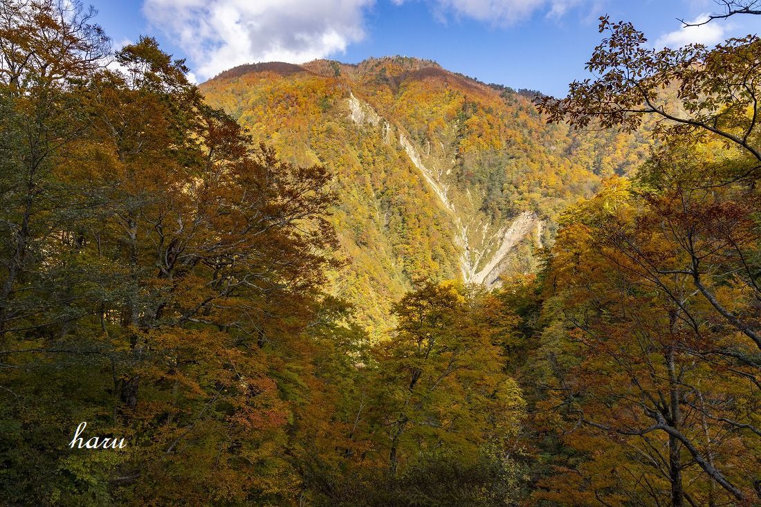 f0297537_21520688.jpg