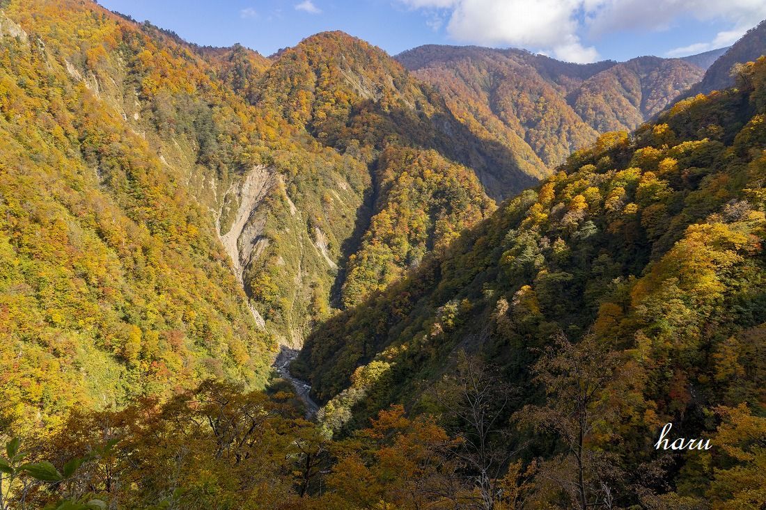 f0297537_21521042.jpg