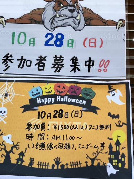 b0369239_10501131.jpeg