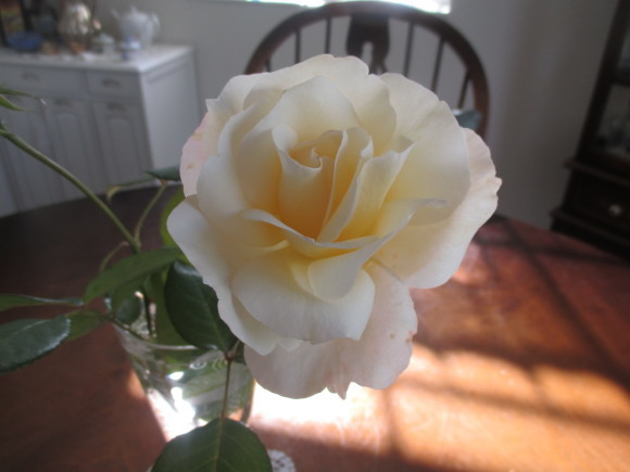a0279743_08235736.jpg