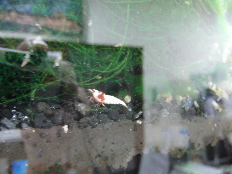 激勝!_d0177045_12225381.jpg