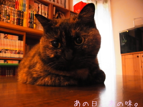 a0305046_09425507.jpg