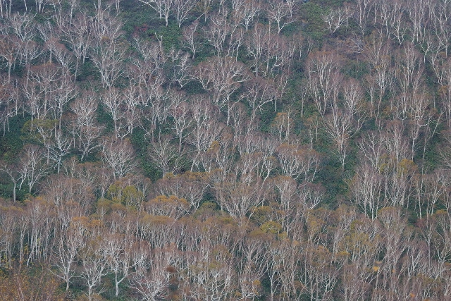 b0189948_17292065.jpg