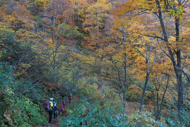b0189948_17302261.jpg