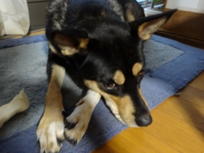 c0330749_04570439.jpg
