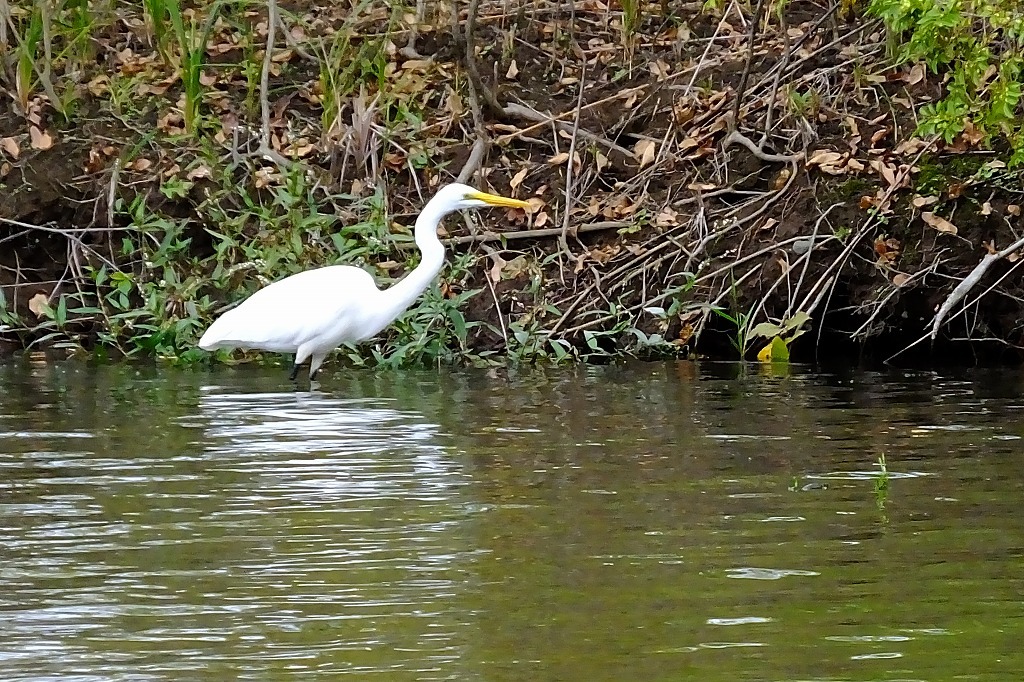 b0236251_09242110.jpg