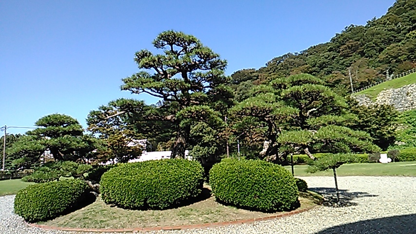 e0036151_23344018.jpg