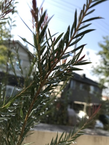 f0349957_09250730.jpeg
