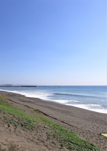 陽光輝いて、秋_d0369759_12584274.jpg