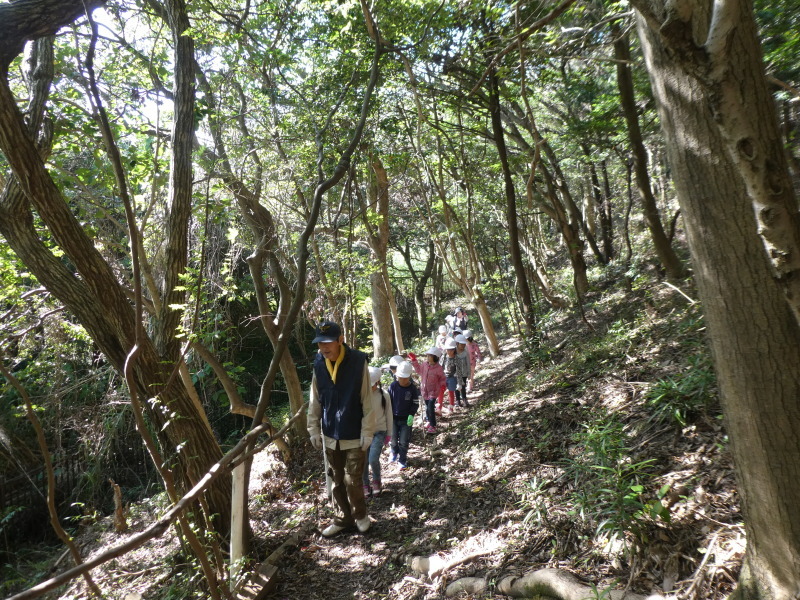 淡輪小学校１年生遠足「うみべの森散策」_c0108460_15175237.jpg