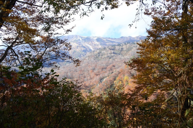 c0140260_21335325.jpg