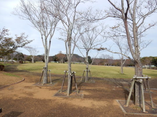 ’18,10,25(木)旅の準備と紅葉探し!_f0060461_10494900.jpg