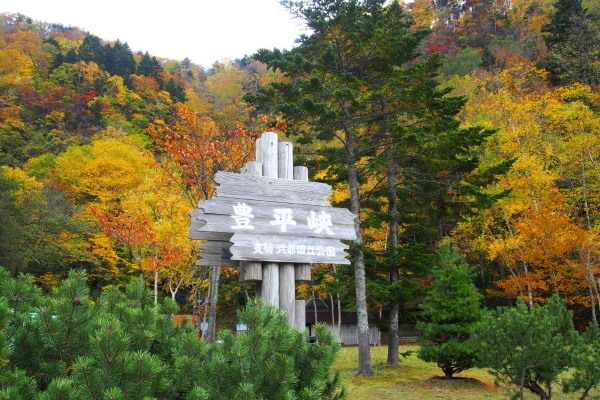 e0213873_15355669.jpg