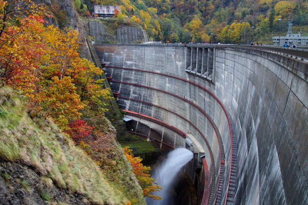 e0213873_15363255.jpg