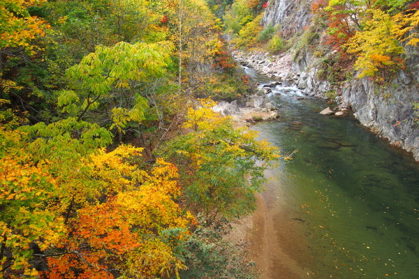 e0213873_15374118.jpg