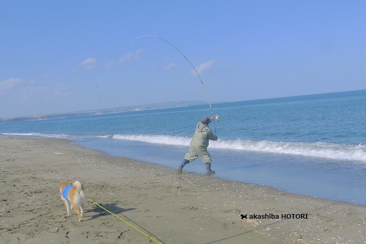 目撃！オホーツク海から鮭を釣りあげた！_f0150377_22375038.jpg