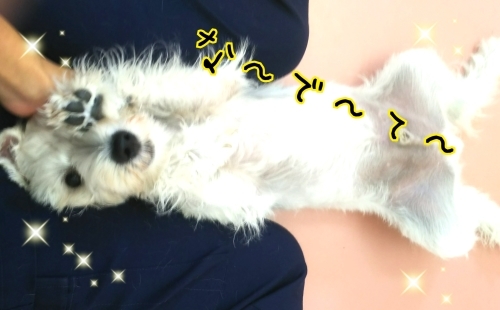 トレーニングブログ_f0357682_20050987.jpg