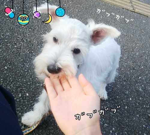トレーニングブログ_f0357682_20094304.jpg