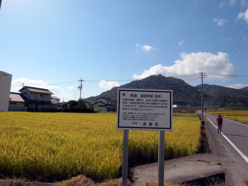 草刈り終わって高倉山へ！の巻_f0325295_14452951.jpg