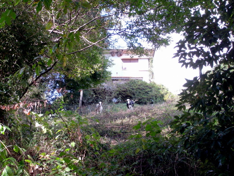 f0325295_14454736.jpg
