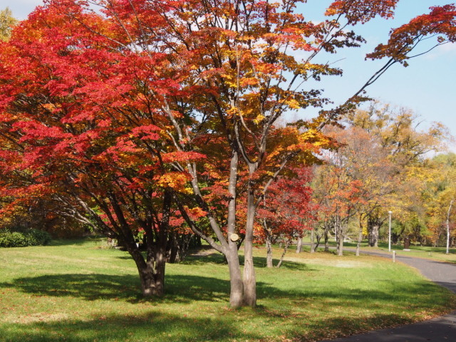 c0360399_21583340.jpg