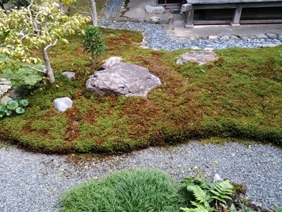 お茶会 正統派(?)きもの_a0236300_11040657.jpg
