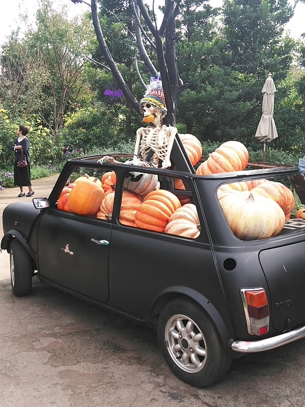 横浜イングリッシュガーデンはハロウィン真っ只中よん♪_b0331802_21204808.jpg