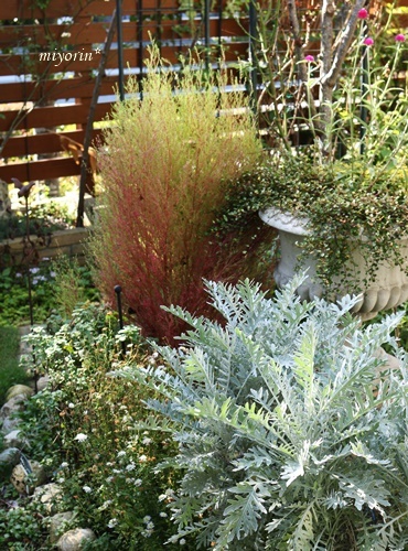 a0123003_11364499.jpg