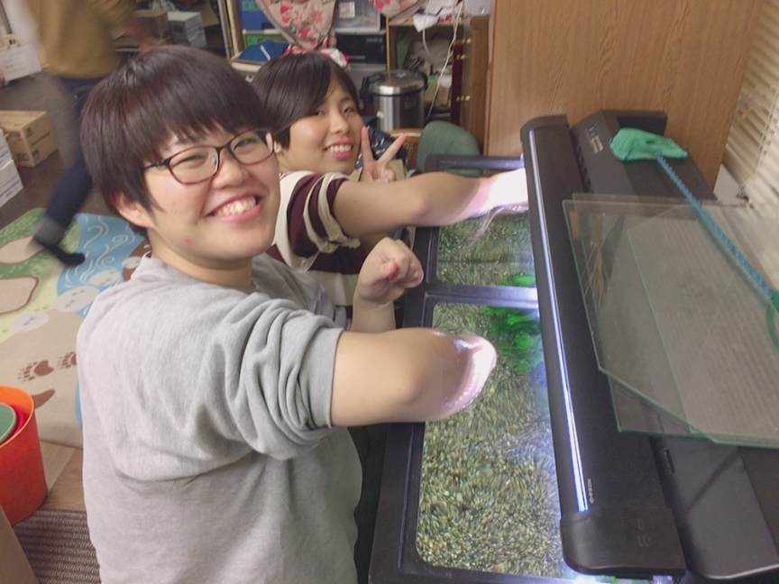 a0080406_12250287.jpeg
