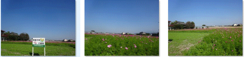 f0231709_01070443.gif