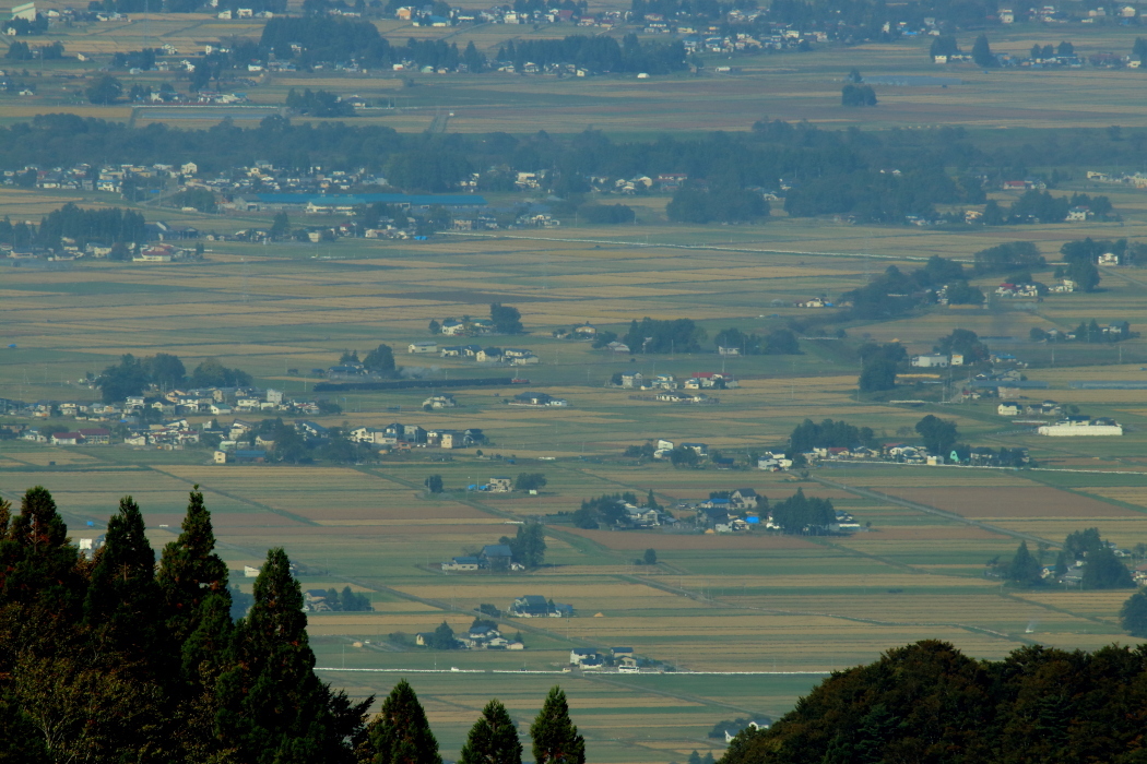 b0190710_22302291.jpg