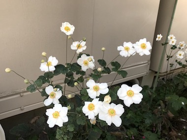 a0019212_18244553.jpeg