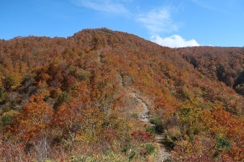 d0103314_23251990.jpg