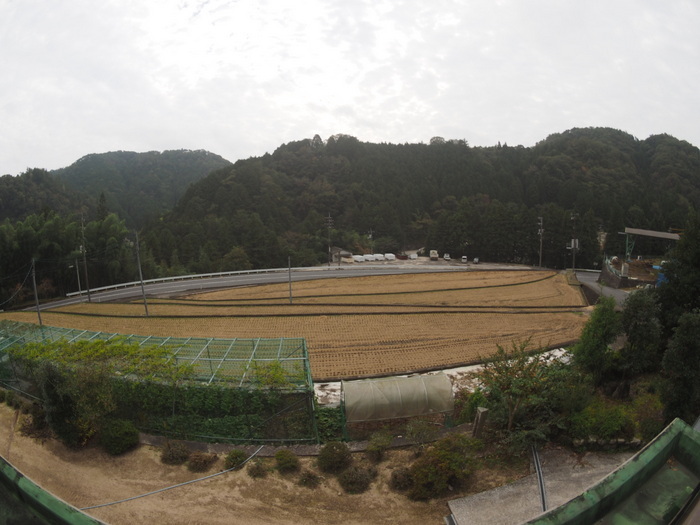 曇り時に日が射し、のち小雨_c0116915_20575811.jpg