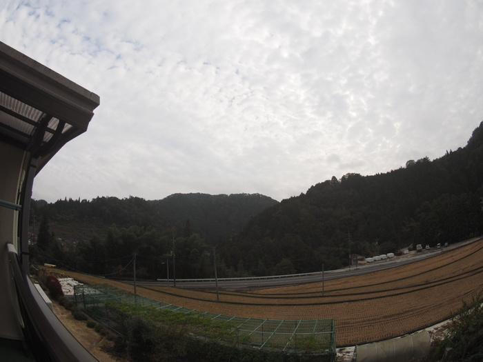 曇り時に日が射し、のち小雨_c0116915_20590654.jpg
