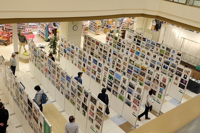 50,000人の写真展静岡会場始まりました_f0221724_15014251.jpg