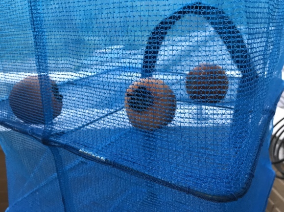 b0209033_14081093.jpeg
