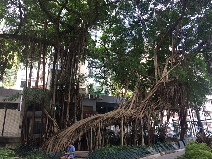 f0371533_11593519.jpg