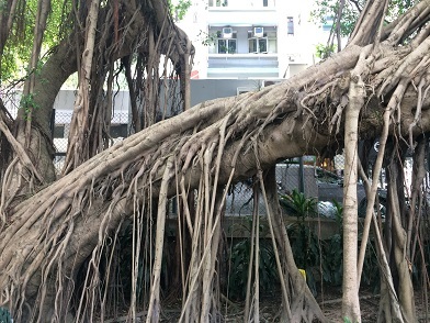 f0371533_11594400.jpg