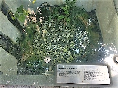 f0371533_12012950.jpg